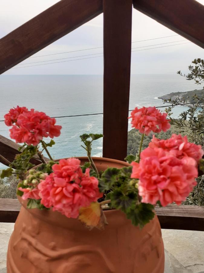XorychtiLimnionas Sunview别墅 外观 照片